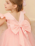 Flying Sleeve Bow Tulle Princess Dress