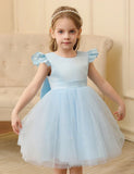 Flying Sleeve Bow Tulle Princess Dress