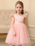 Flying Sleeve Bow Tulle Princess Dress