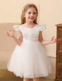 Flying Sleeve Bow Tulle Princess Dress