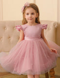 Flying Sleeve Bow Tulle Princess Dress