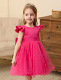 Flying Sleeve Bow Tulle Princess Dress