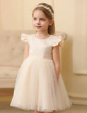Flying Sleeve Bow Tulle Princess Dress