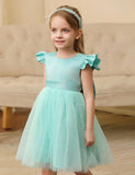 Flying Sleeve Bow Tulle Princess Dress