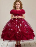 Iridescent Butterfly Tulle Gown