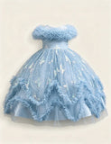 Iridescent Butterfly Tulle Gown