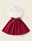 Lace Cutout Dress