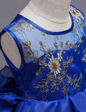 Flower Embroidery Multi-layer Tulle Trailing Princess Dress