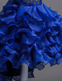 Flower Embroidery Multi-layer Tulle Trailing Princess Dress