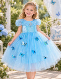 Frozen Elsa Princess Butterfly Mesh Dress