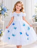 Frozen Elsa Princess Butterfly Mesh Dress