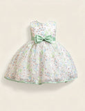 Floral Applique Birthday Party Gown