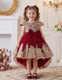 Embroidered Elegant Princess Dress