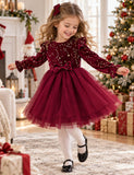 Star Print Velvet Dress