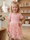 Knitted Tulle Cake Dress