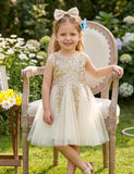 Sequin Tulle Sleeveless Princess Dress