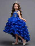 Flower Embroidery Multi-layer Tulle Trailing Princess Dress