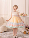 Rainbow Fluffy Tulle Dress