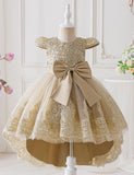 Embroidered Elegant Princess Dress