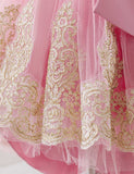 Embroidered Elegant Princess Dress
