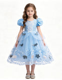 Frozen Elsa Lace Butterfly Tulle Princess Dress