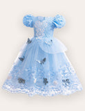 Frozen Elsa Lace Butterfly Tulle Princess Dress