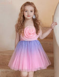 Multi Color Tulle Dress