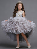 Flower Embroidery Multi-layer Tulle Trailing Princess Dress