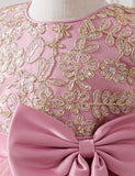 Embroidered Elegant Princess Dress