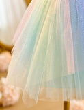 Mermaid Sequin Tulle Dress