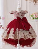 Embroidered Elegant Princess Dress