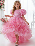 Three-dimensional Rose Bubble Sleeve Tulle Dress