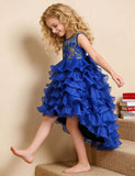 Flower Embroidery Multi-layer Tulle Trailing Princess Dress