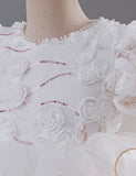 Three-dimensional Rose Bubble Sleeve Tulle Dress