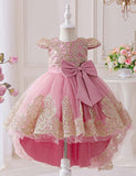 Embroidered Elegant Princess Dress