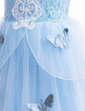 Frozen Elsa Lace Butterfly Tulle Princess Dress