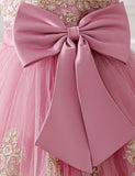 Embroidered Elegant Princess Dress