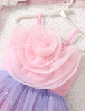 Multi Color Tulle Dress