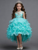 Flower Embroidery Multi-layer Tulle Trailing Princess Dress