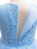 Frozen Elsa Lace Butterfly Tulle Princess Dress