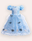Frozen Elsa Lace Butterfly Tulle Princess Dress