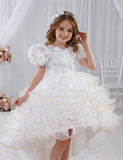 Three-dimensional Rose Bubble Sleeve Tulle Dress