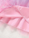 Multi Color Tulle Dress