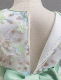 Floral Applique Birthday Party Gown