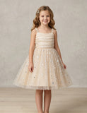 Pearl Sequin Tulle Princess Dress