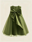 Big Bow Tulle Princess Dress