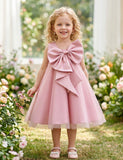 Big Bow Tulle Princess Dress