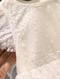 3D Butterfly Wing Tulle Dress