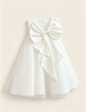Big Bow Tulle Princess Dress
